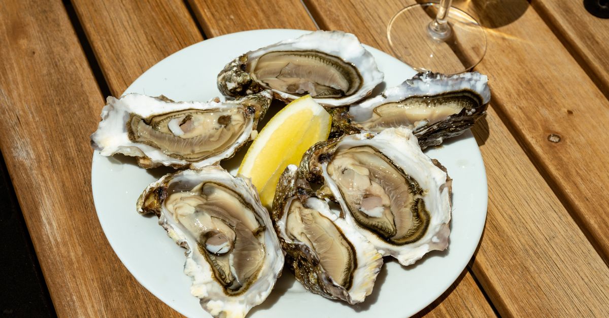 A plate of fresh oysters with lemon served at a seafood restaurant